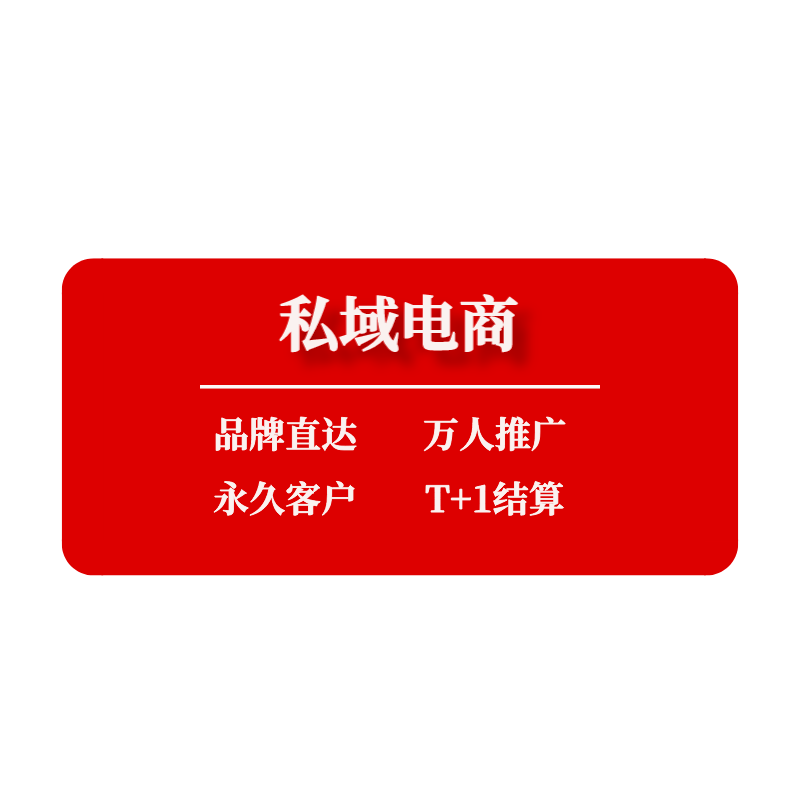 私域电商